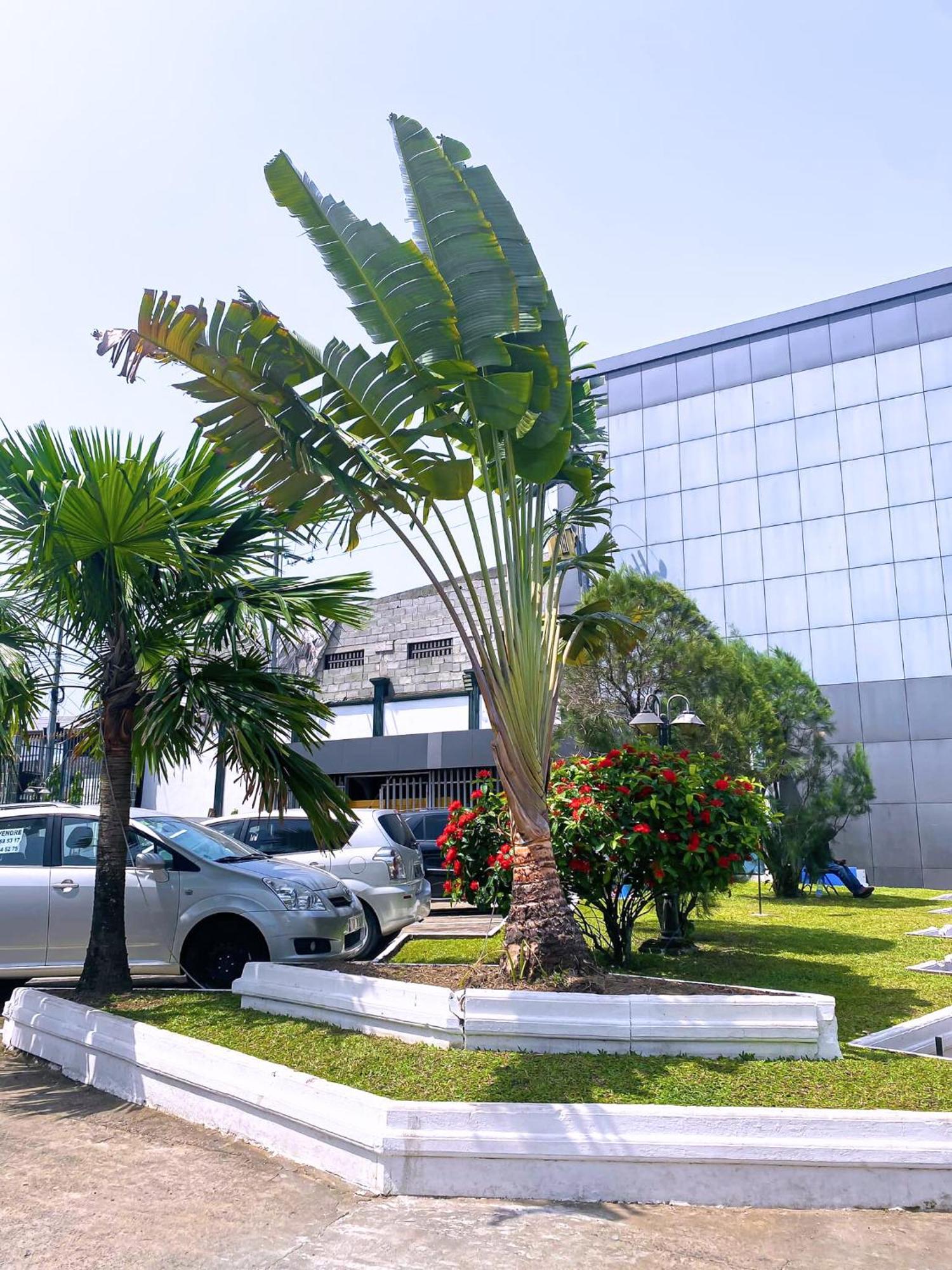 Hotel Vallee Des Princes Douala Luaran gambar